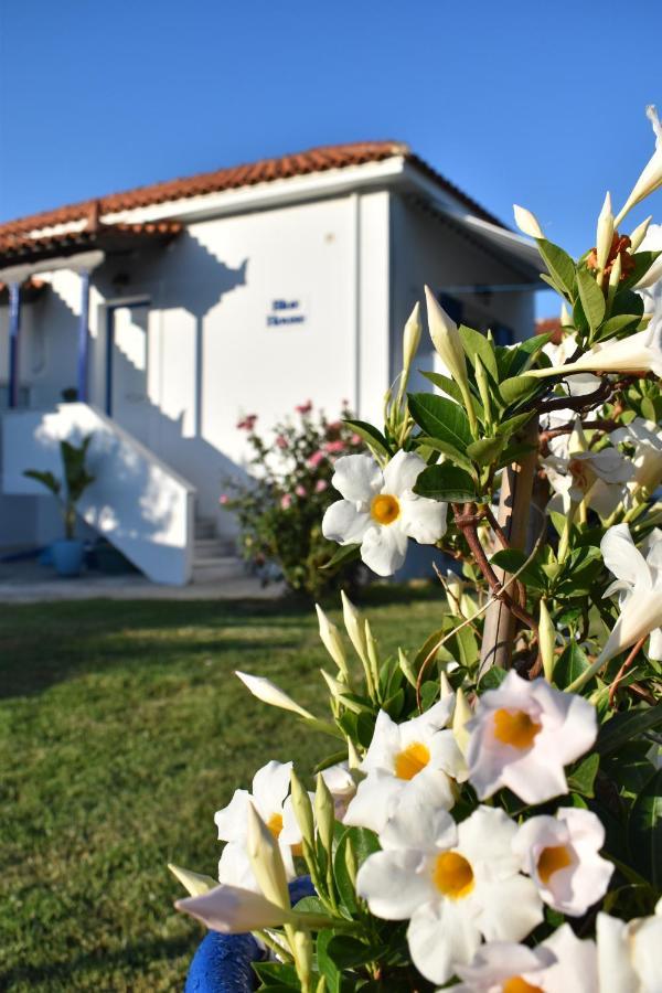 Blue Houses Apartments Finikounta Exterior foto
